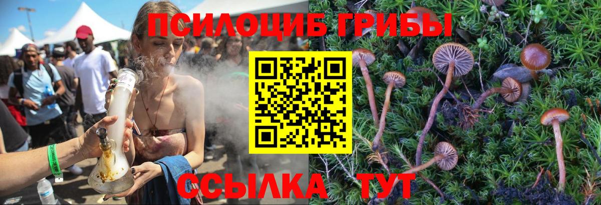 закладка  Галлюциногенные грибы GOLDEN TEACHER  Вход с VPN  Галлюциногенные грибы ЛСД  Муравленко 